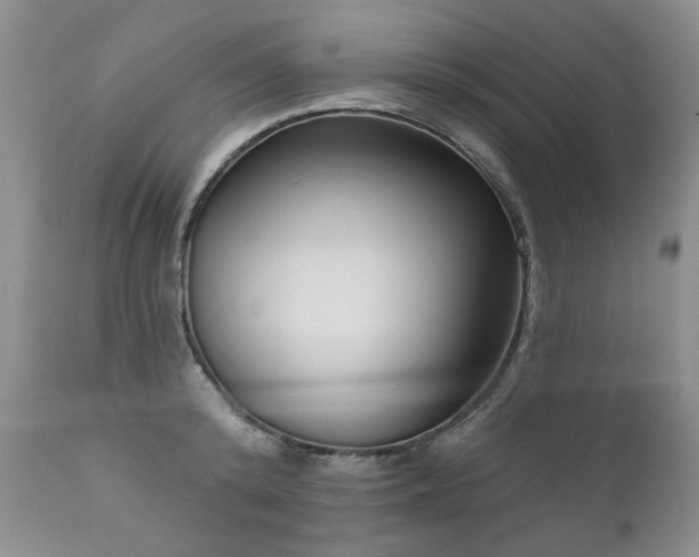 X0000111160800200906301359