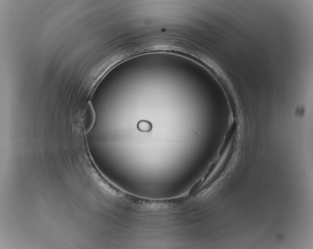X0000111160801200906301359