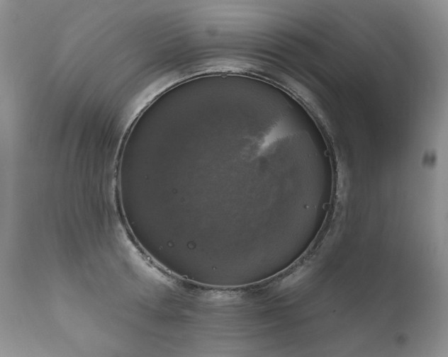 X0000111160802200906301359