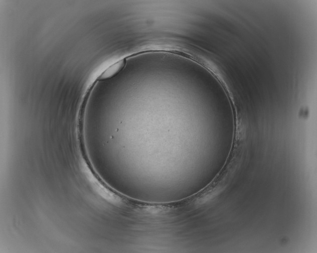 X0000111160803200906301359