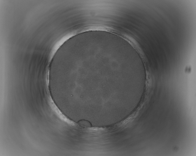 X0000111160804200906301359
