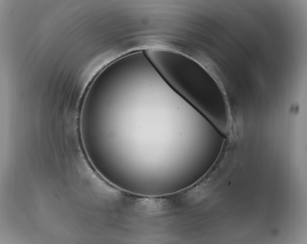 X0000111160805200906301359