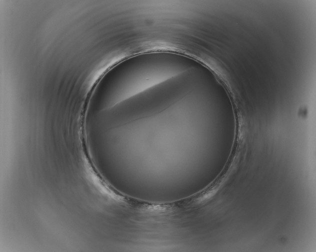 X0000111160806200906301359
