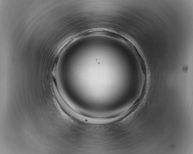 X0000111160809200906301359