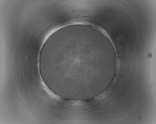 X0000111160811200906301359