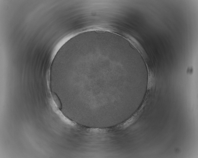 X0000111160812200906301359