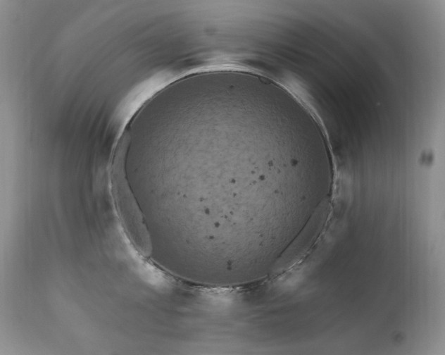 X0000111160813200906301359
