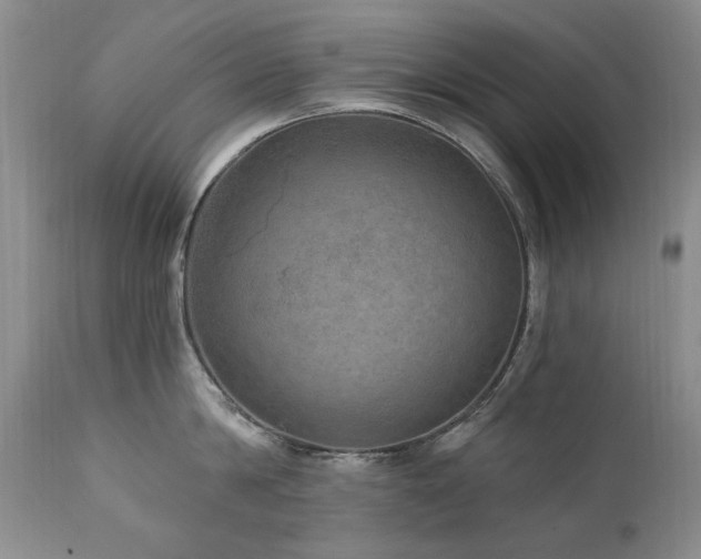 X0000111160814200906301359