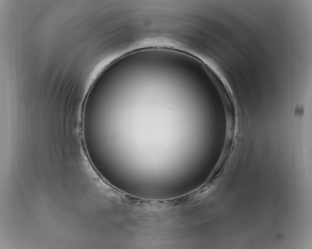 X0000111160815200906301359