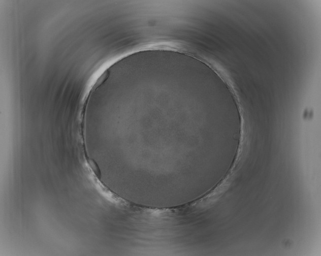 X0000111160816200906301359