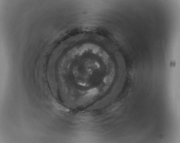 X0000111160817200906301358