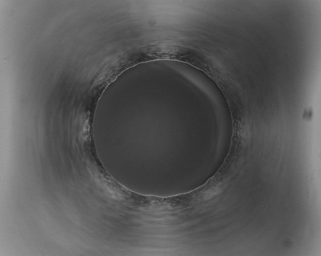 X0000111160818200906301358
