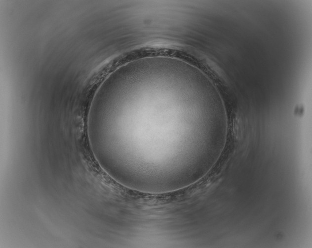 X0000111160821200906301358