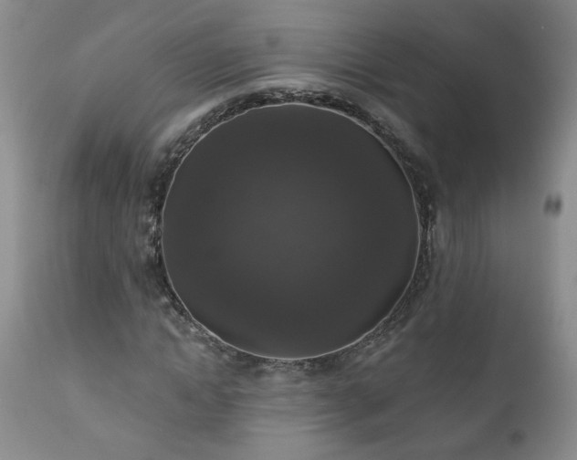 X0000111160822200906301358