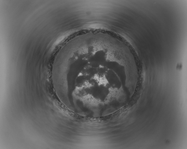 X0000111160823200906301358