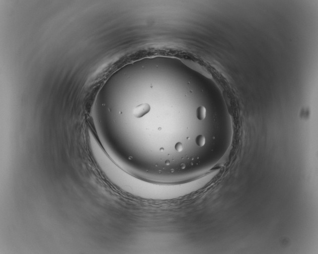 X0000111160824200906301358