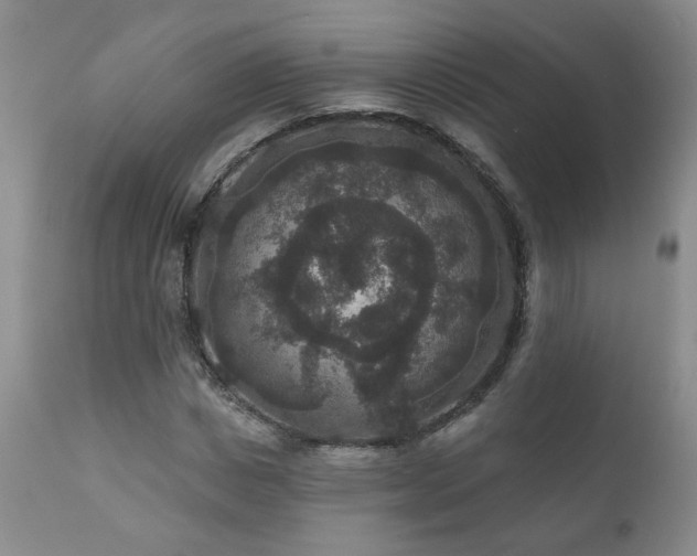 X0000111160825200906301358