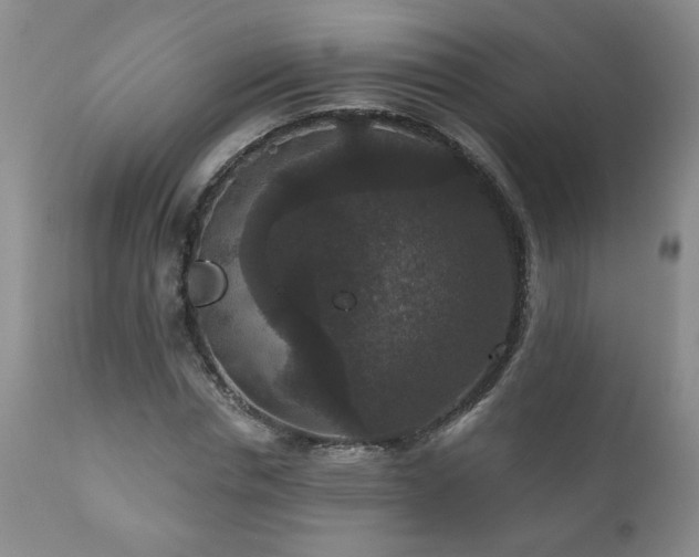 X0000111160826200906301358