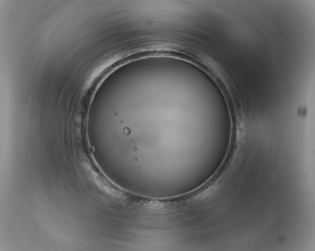 X0000111160827200906301358