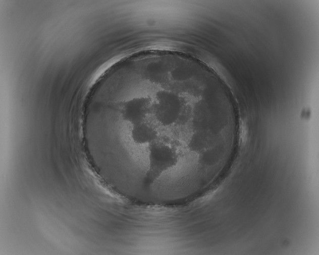 X0000111160829200906301358
