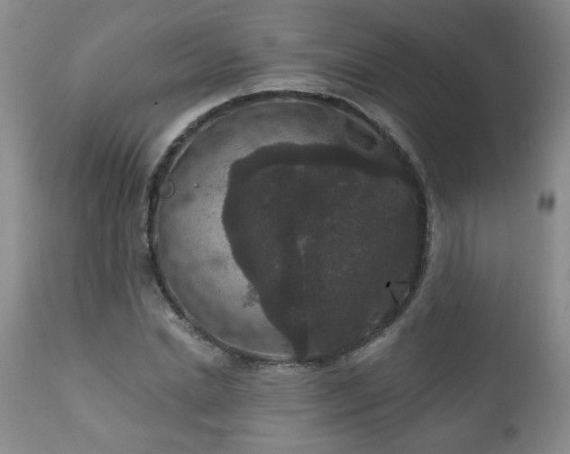 X0000111160830200906301358