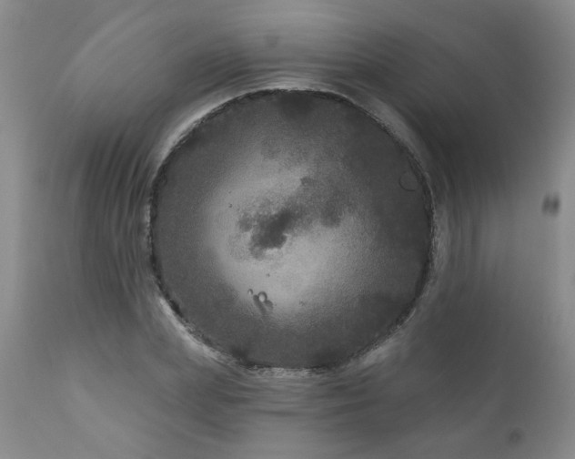 X0000111160831200906301358