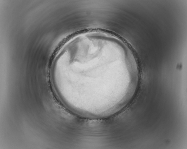X0000111160832200906301358