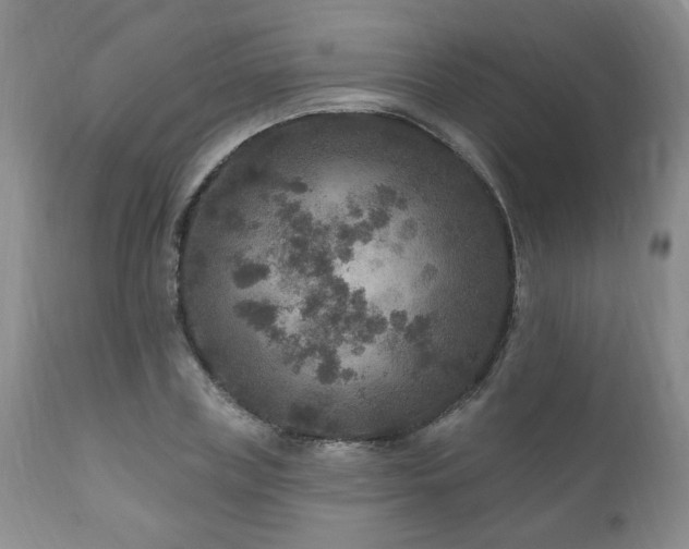 X0000111160835200906301358