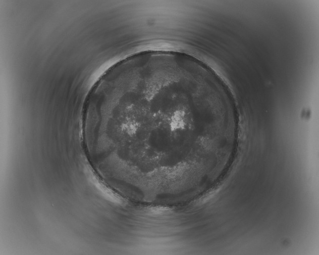 X0000111160837200906301358