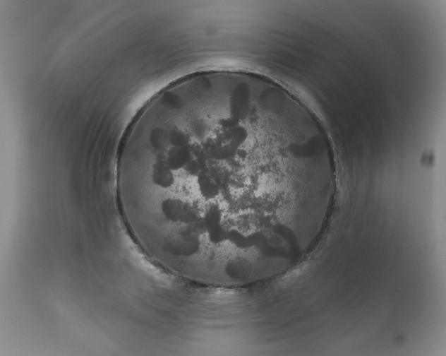 X0000111160839200906301358
