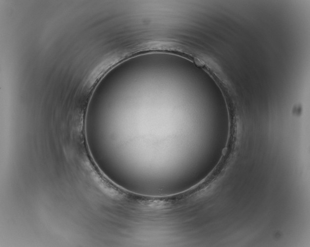 X0000111160841200906301358