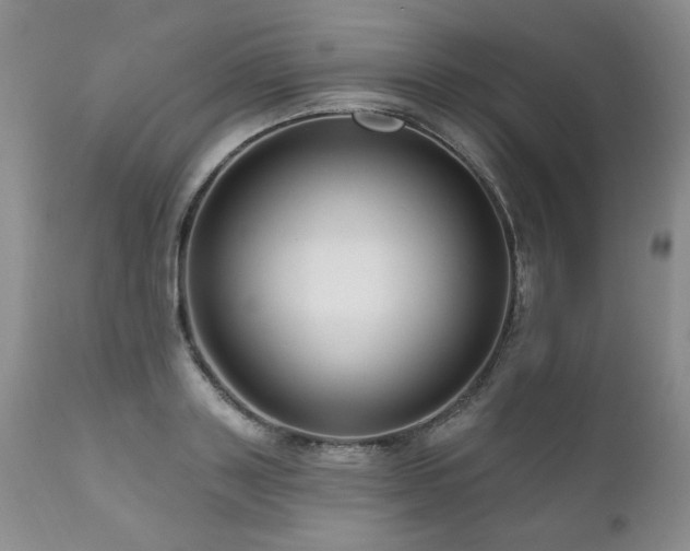 X0000111160843200906301358