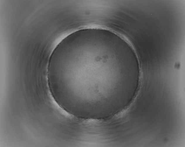 X0000111160847200906301358