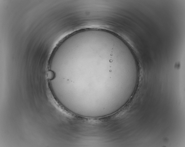 X0000111160848200906301358