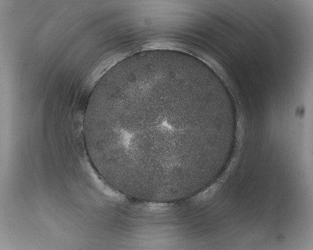 X0000111160849200906301358
