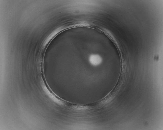 X0000111160851200906301358