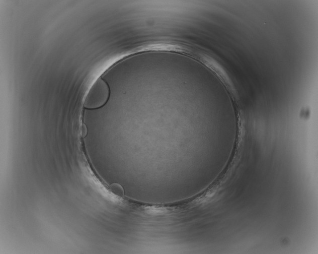 X0000111160852200906301358