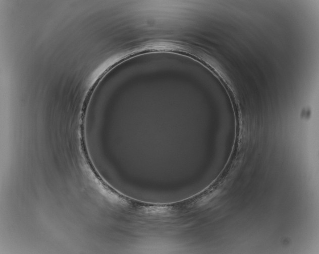 X0000111160853200906301358