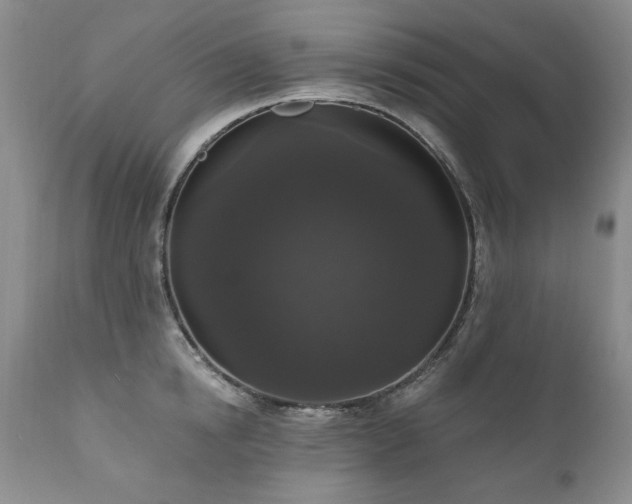 X0000111160854200906301358
