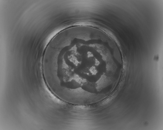 X0000111160855200906301358