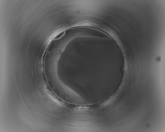 X0000111160858200906301359