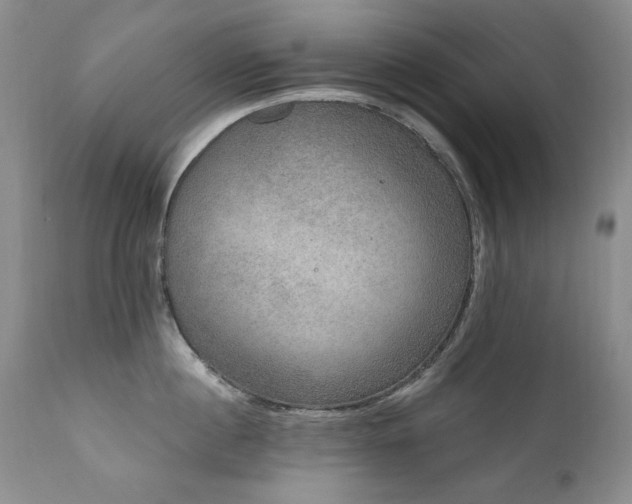 X0000111160860200906301359