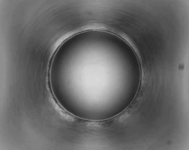 X0000111160861200906301359