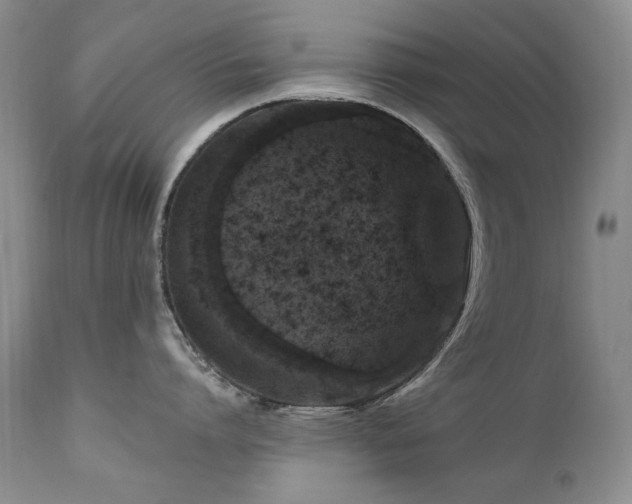 X0000111160864200906301359