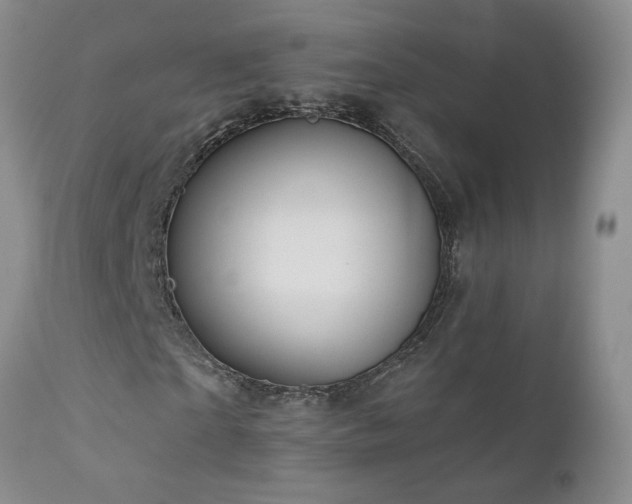 X0000111160865200906301358