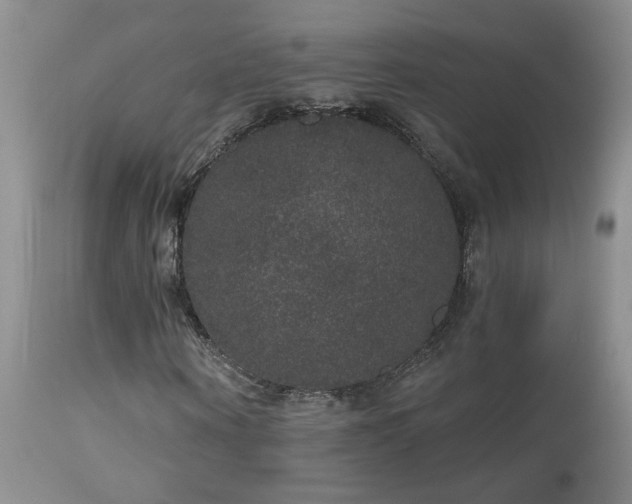 X0000111160866200906301358