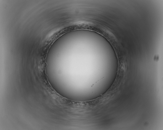 X0000111160869200906301358