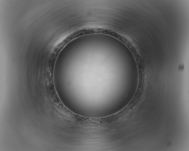 X0000111160871200906301358