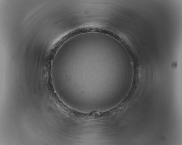 X0000111160872200906301358