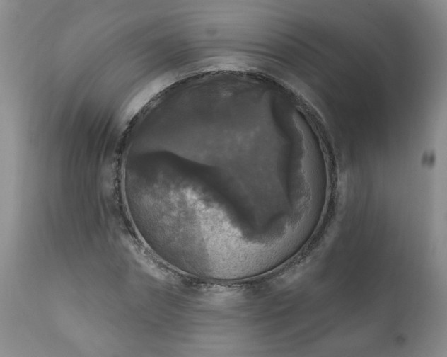 X0000111160874200906301358